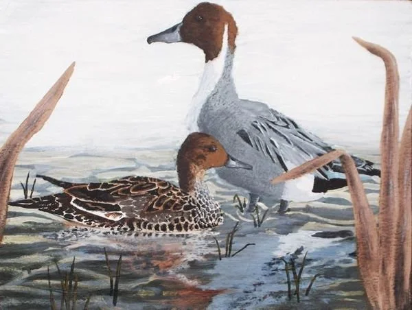 duck.jpg