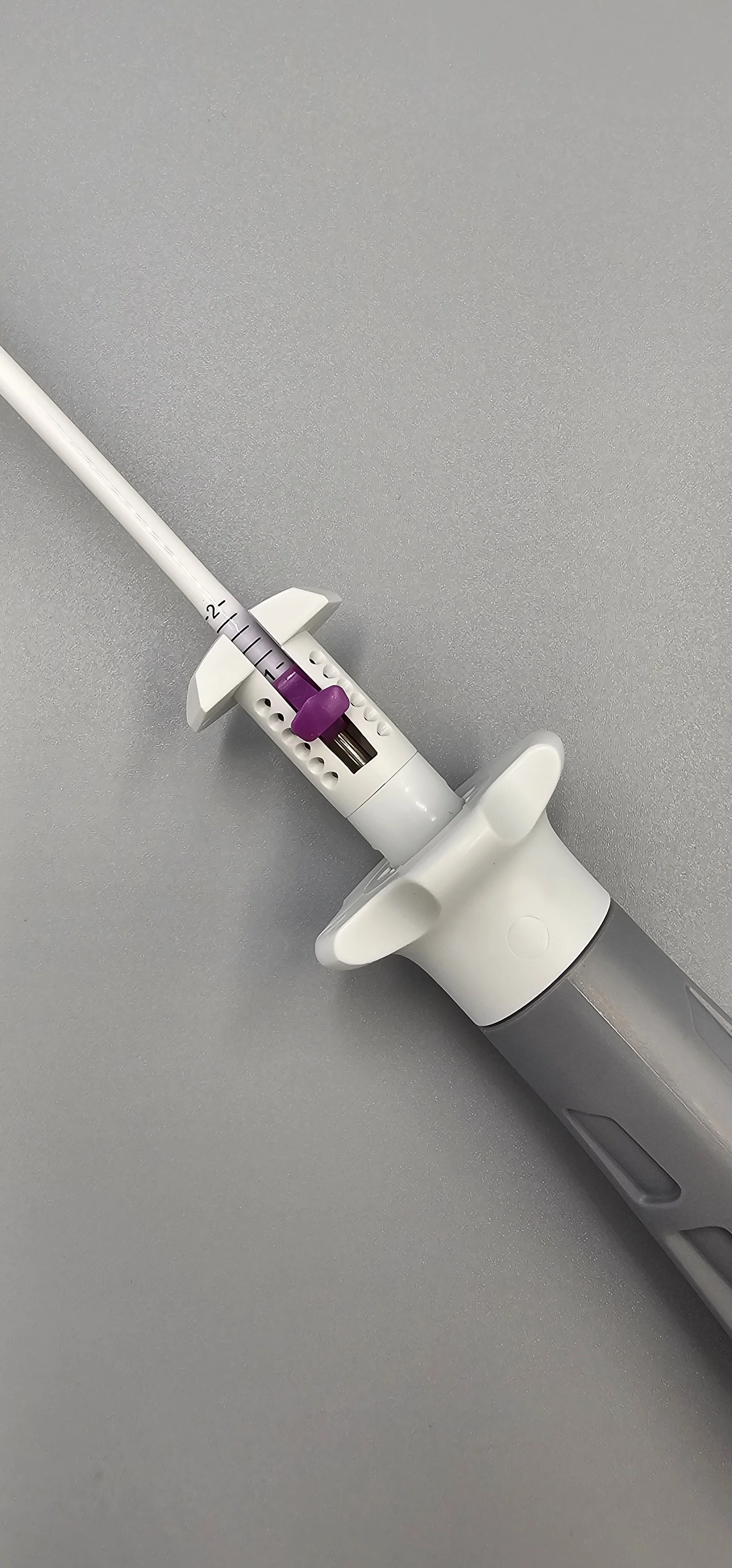 2024-10-01 17-15-53.JPG