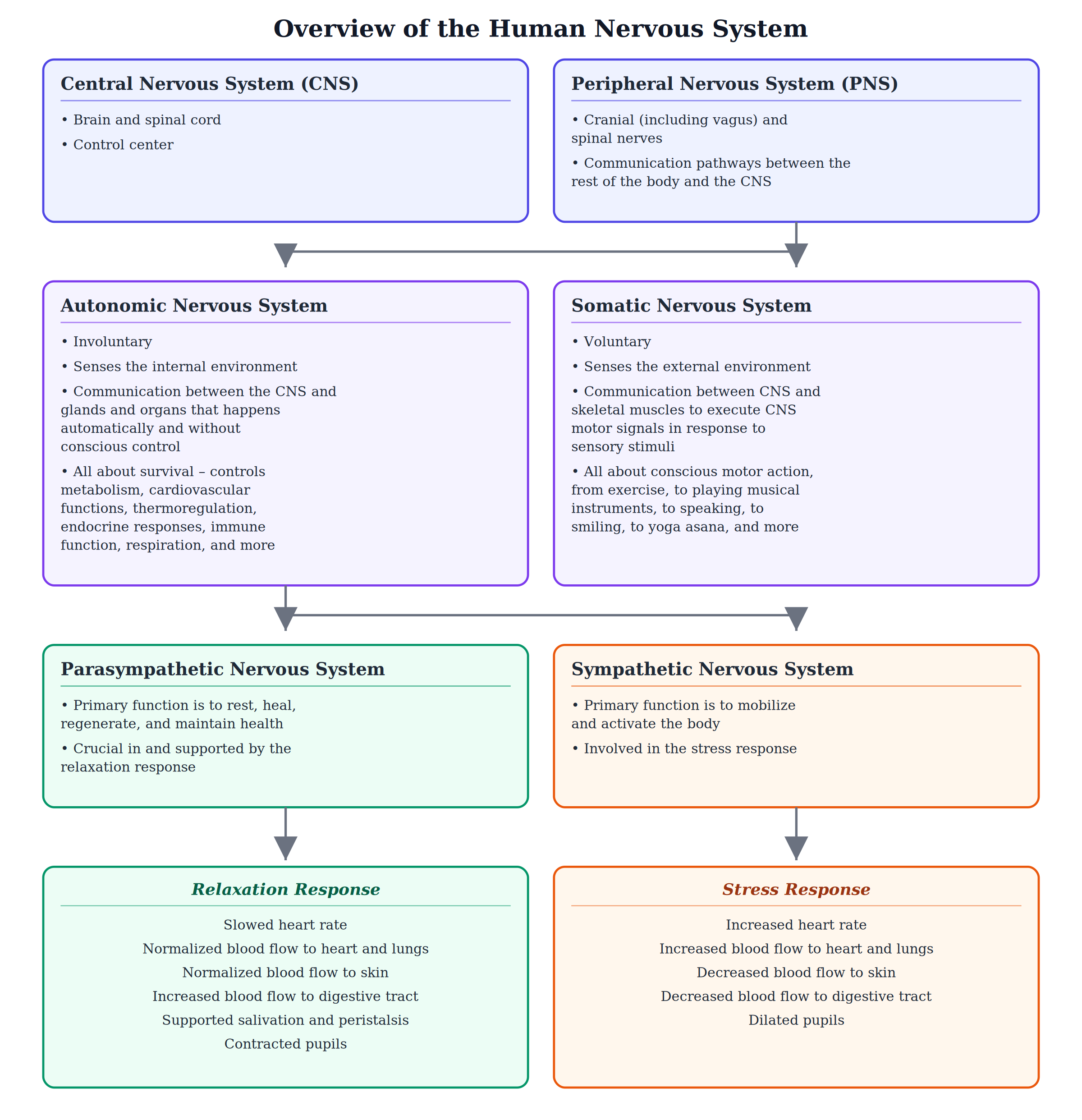 What Does the Scientific Debate on Polyvagal Theory Mean?