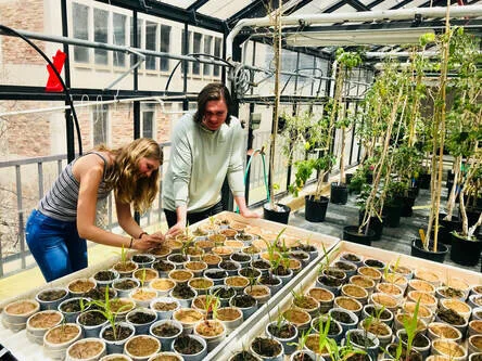 New paper out in Frontiers in Microbiology!