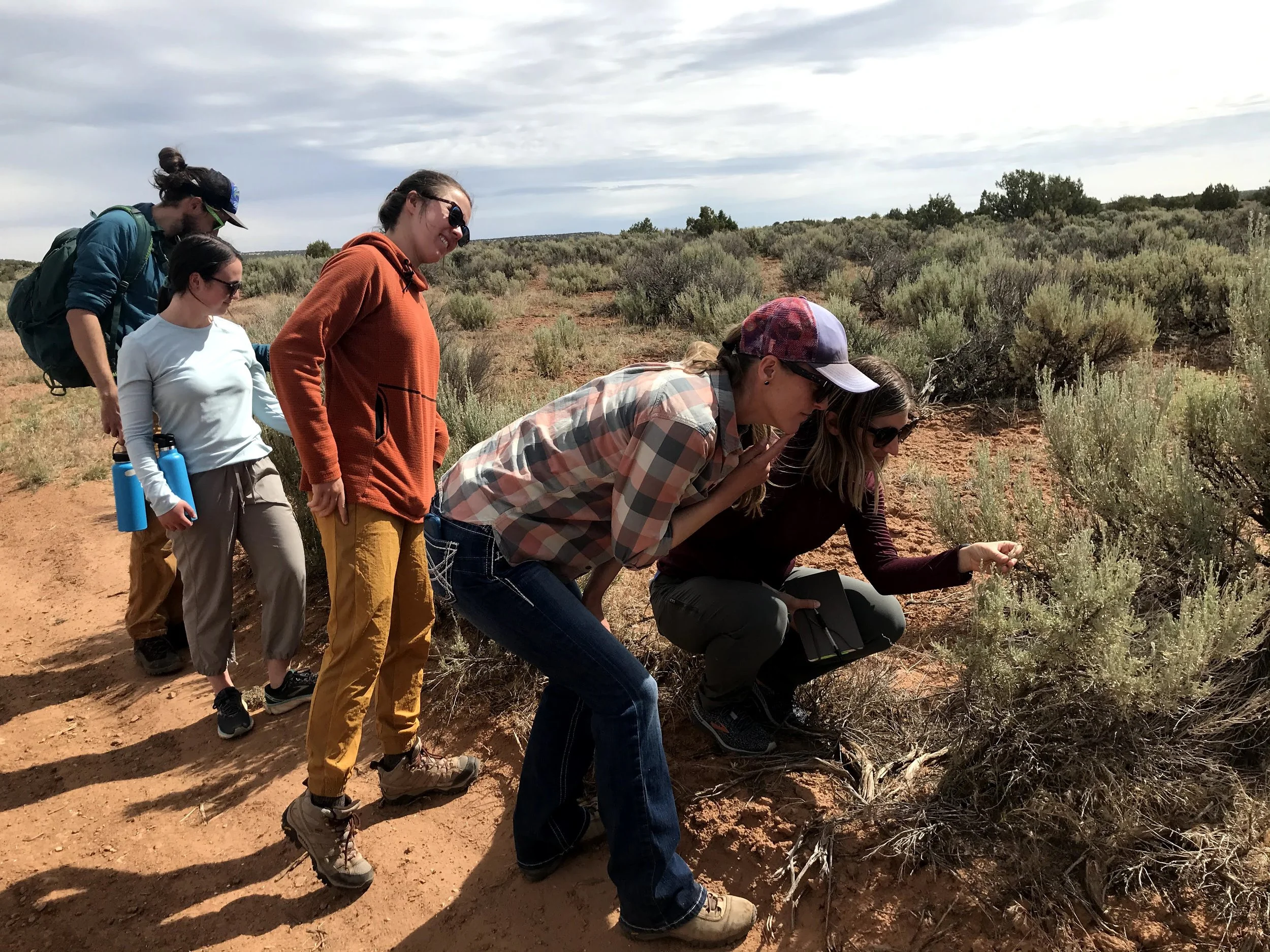 Carrie featured in CSU Source, reflects on importance of engaged scholarship