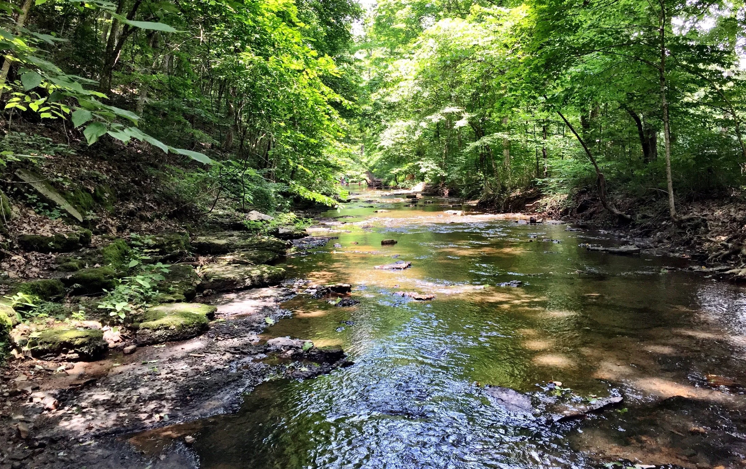 Dickson County Dickson County