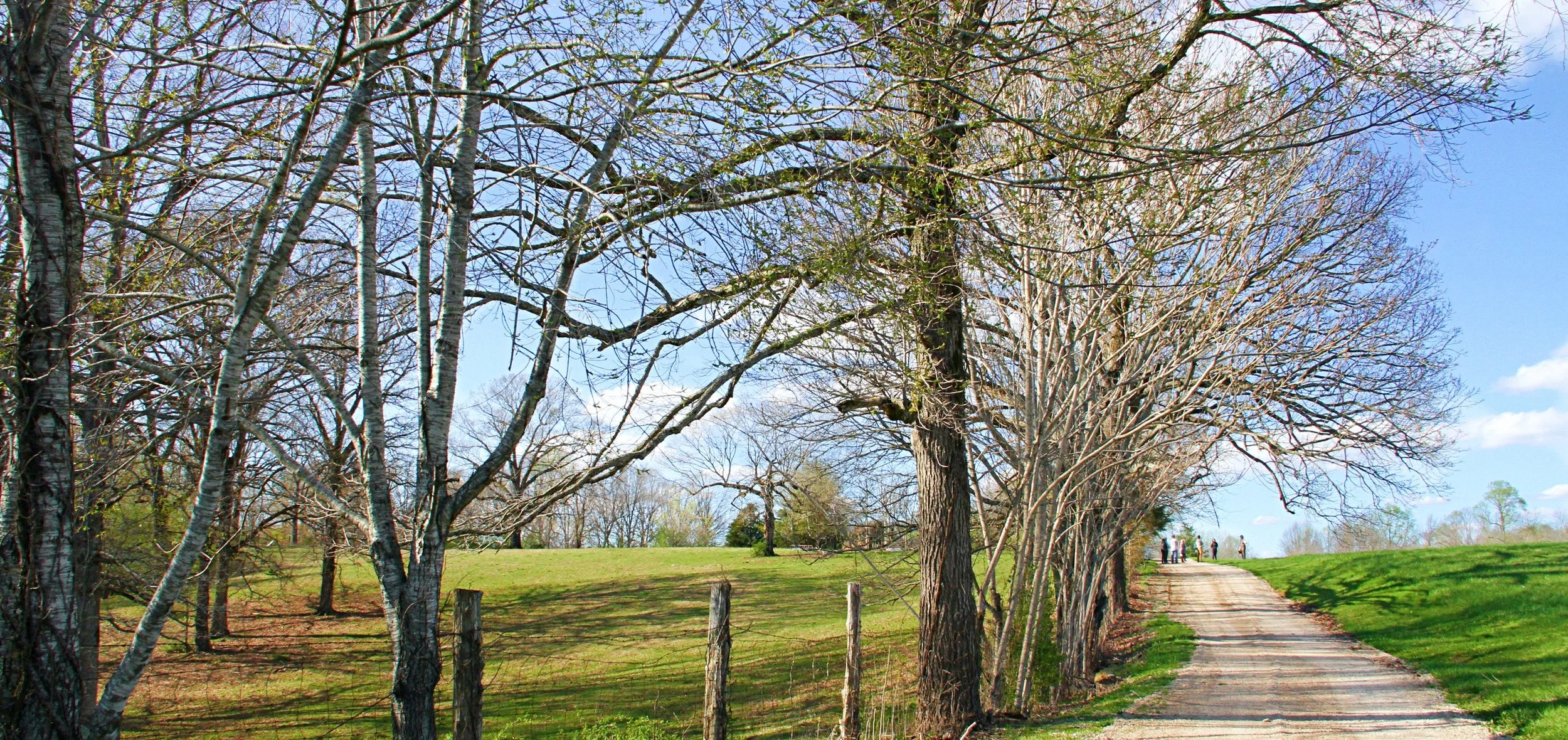 Burns Village & Farm