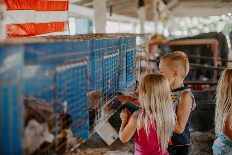 Lake Odessa Fair