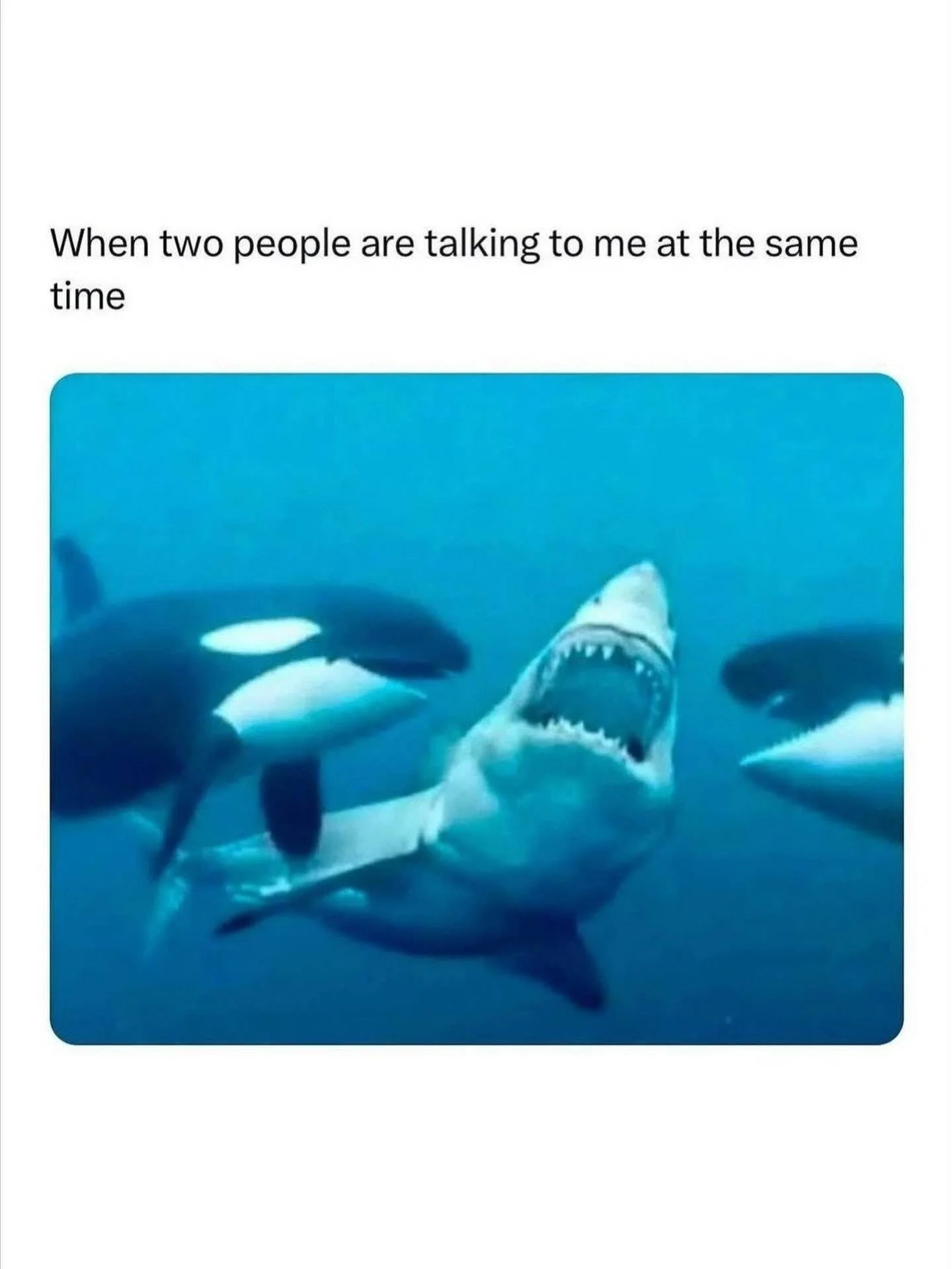 When my kids are up 2 hours before me and want to talk my ear off before coffee time. 
.
#homeschool #homeschooling #homeschoolers #homeschooling
&nbsp;#homeschoolroom&nbsp;  #homeschoolcurriculum&nbsp; #homeschoollife&nbsp; #homeschoolcollective &nb