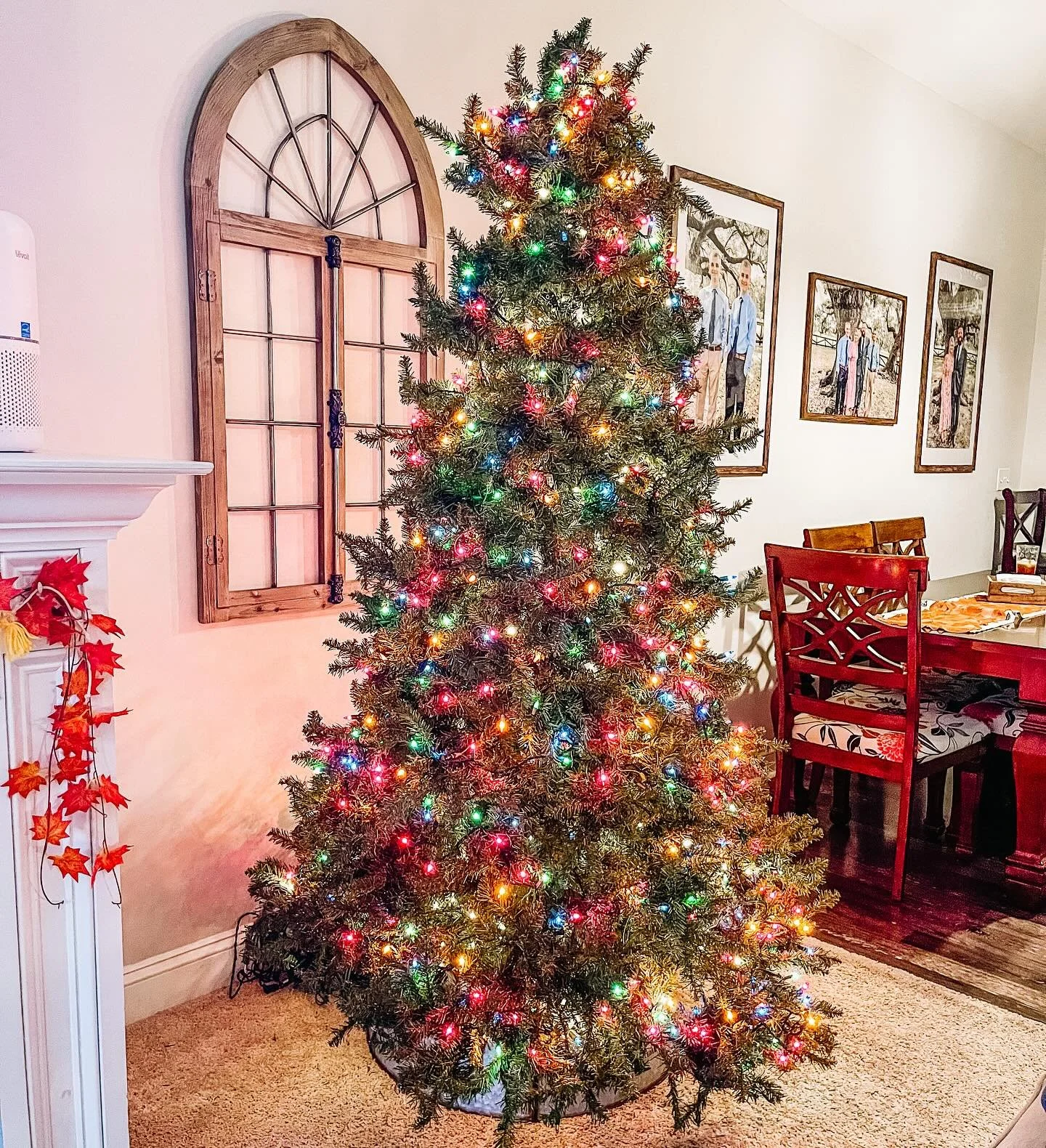 I have no self control🎄 
.
.
.
.
#homeschoollife #christmas #christmastime #christmastree #nsync #merrychristmas #homeschool
#homeschoolmom&nbsp;
#homeschooling
&nbsp;#homeschoolroom&nbsp;  #homeschoolcurriculum&nbsp; #homeschoollife&nbsp; #homescho