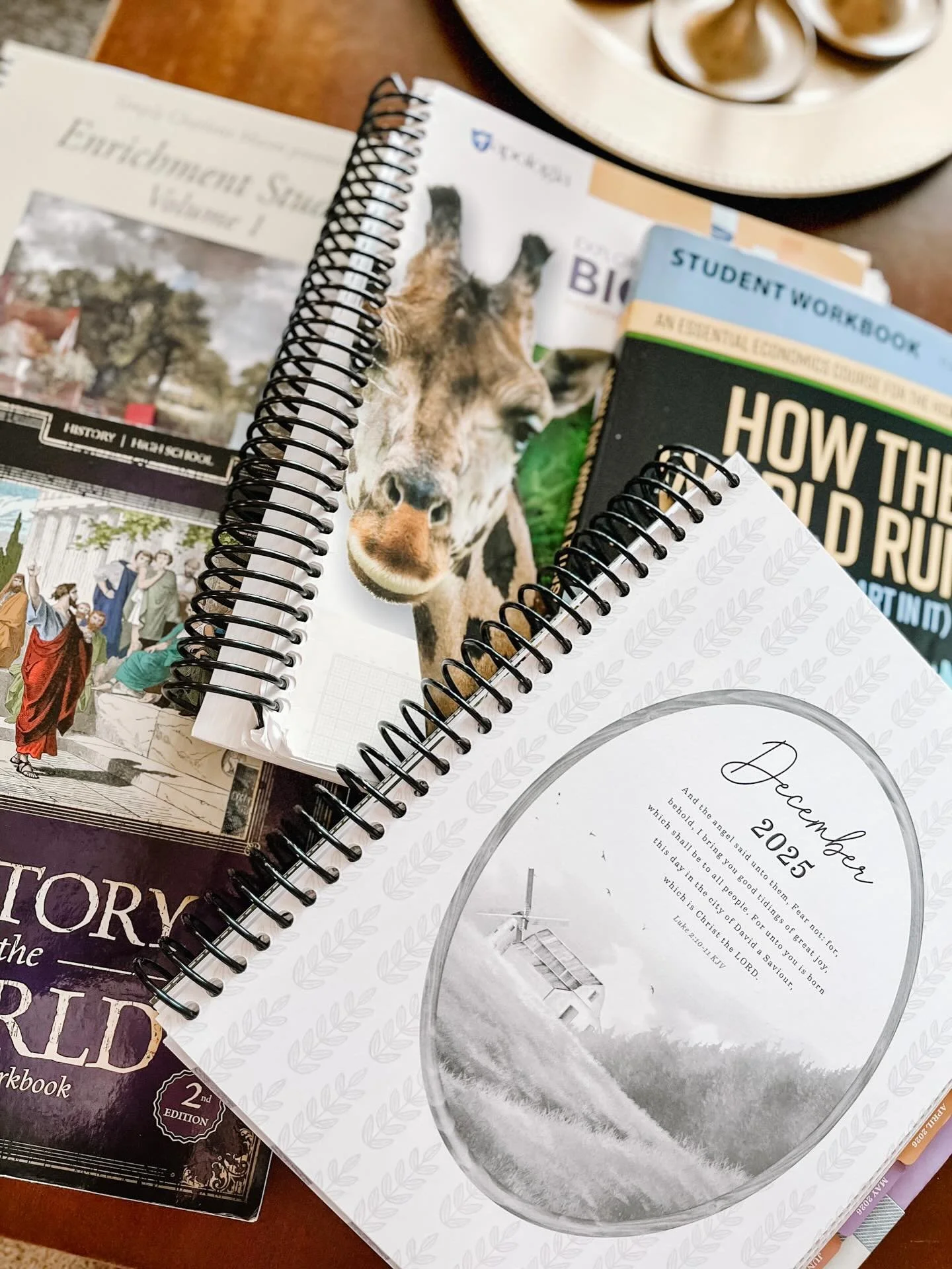 Raise your hand if this homeschool year is flying by 🙋&zwj;♀️
I&rsquo;m sitting here planning the first week of December&hellip; today. Yes, I plan late. Always have. 😅
How are you spending your day?

.
.
.
#christianhomeschool
#homeschoolcommunity