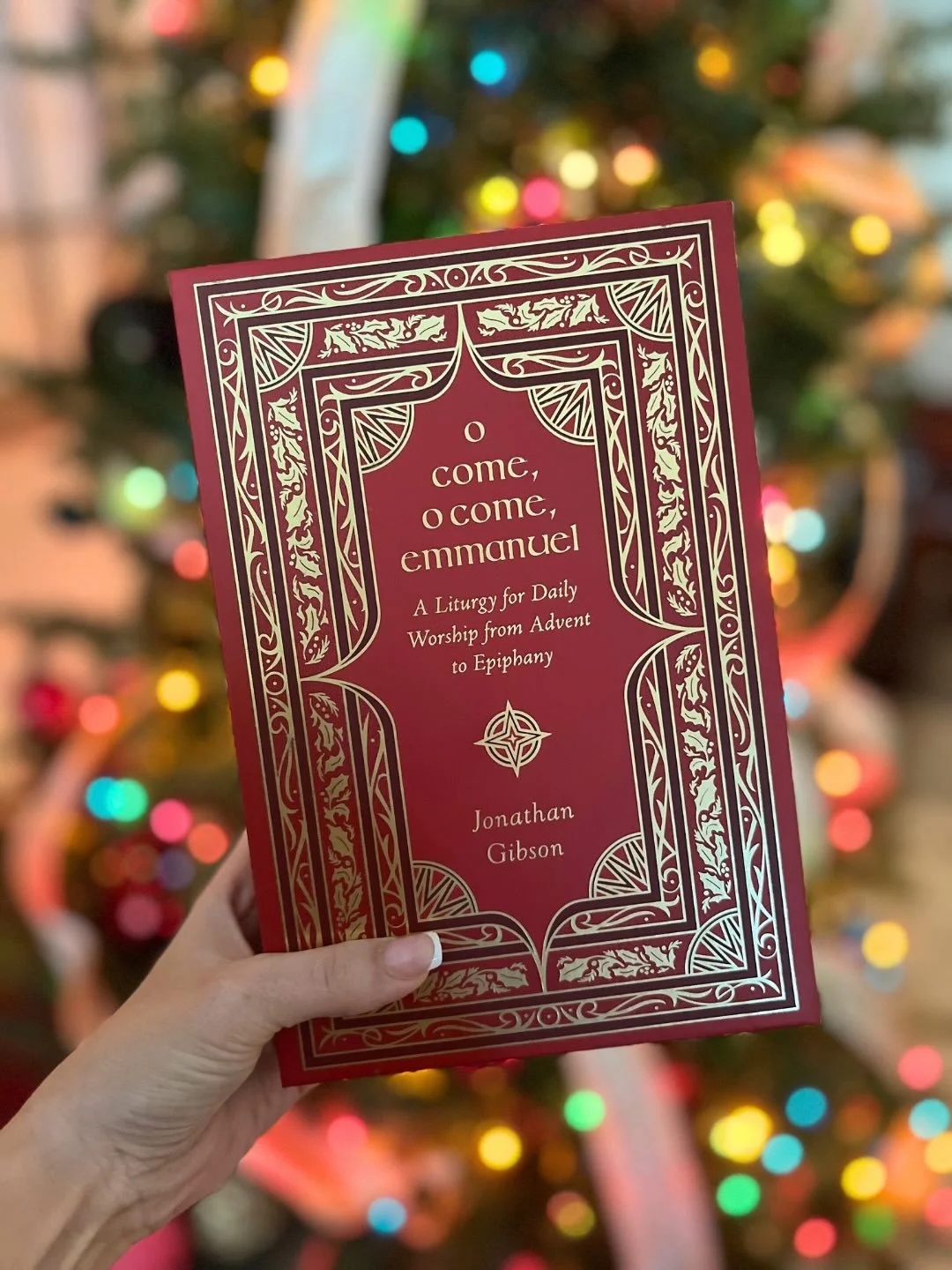 This Advent I wanted something simple, beautiful, and deeply Christ-centered to anchor our homeschool days. I was so excited to get this one recently to add to my Advent collection! 

&ldquo;O Come, O Come, Emmanuel&rdquo; is by such a beautiful adve
