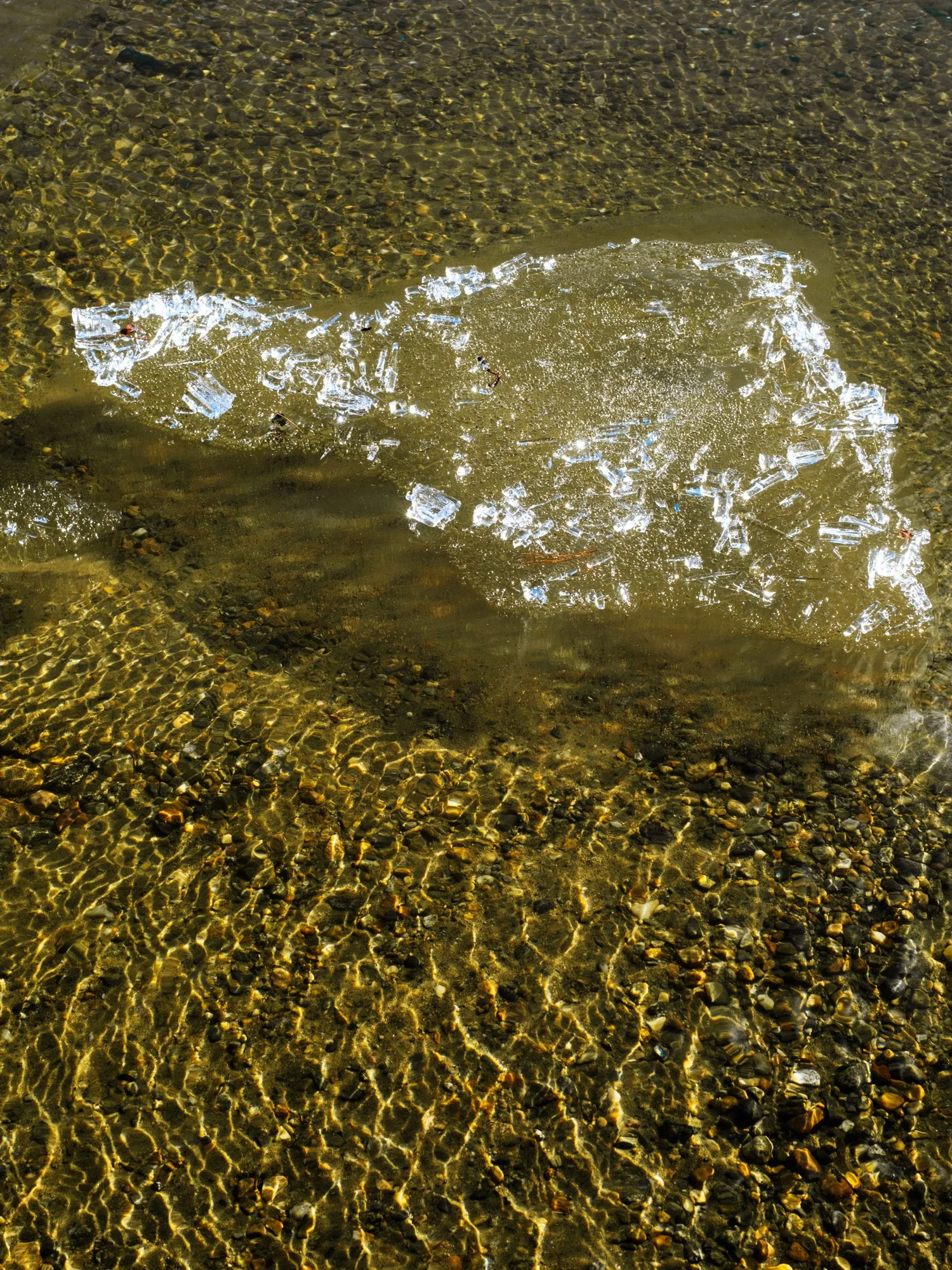 AnastasiaSierra-17-Chasing Ice-2025.jpg