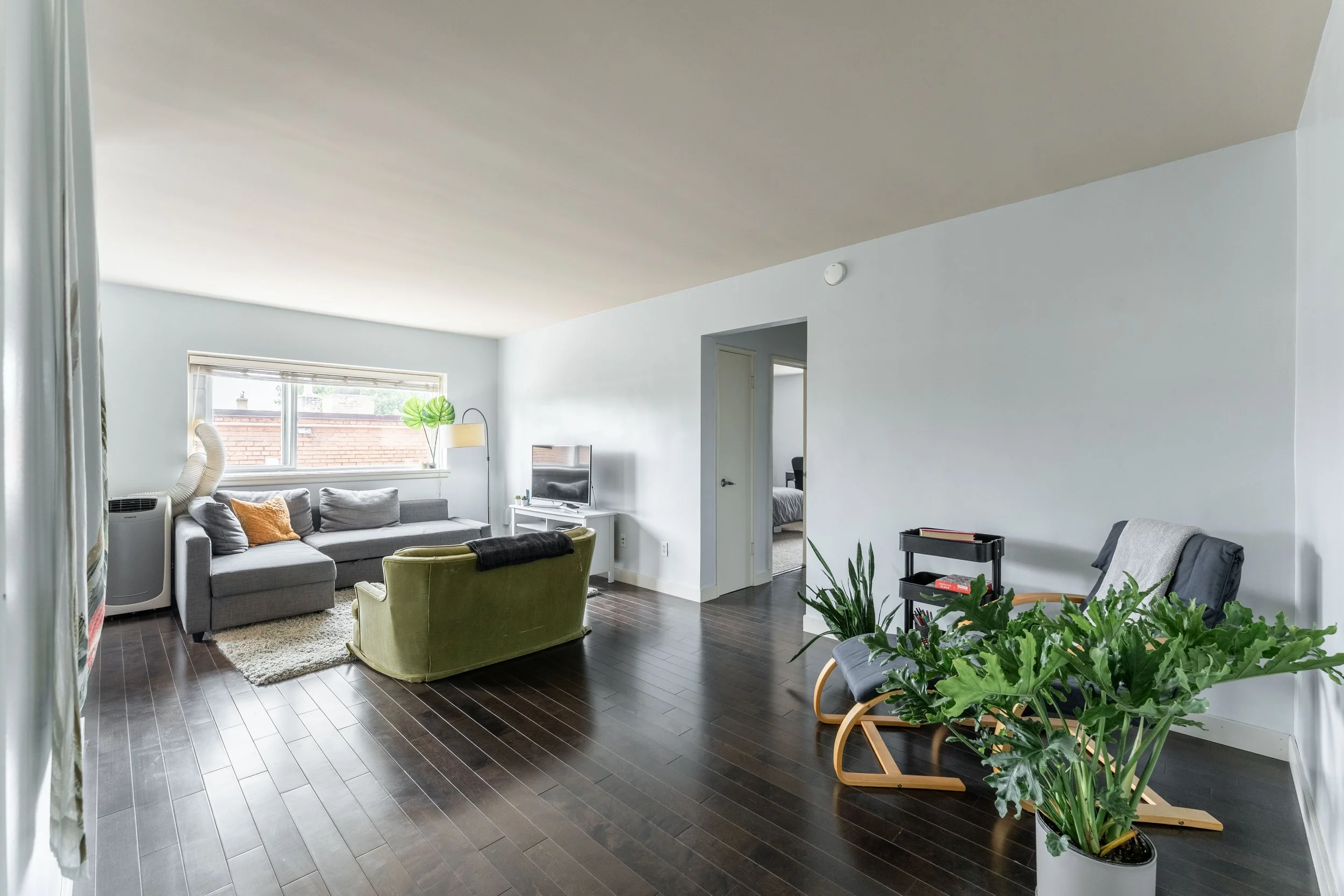 304-565 Corydon-11.jpg