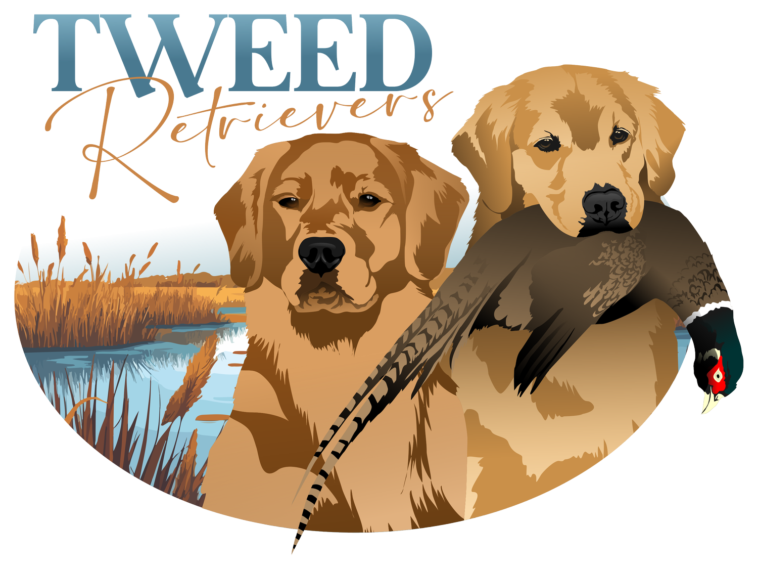 Tweed Golden Retrievers