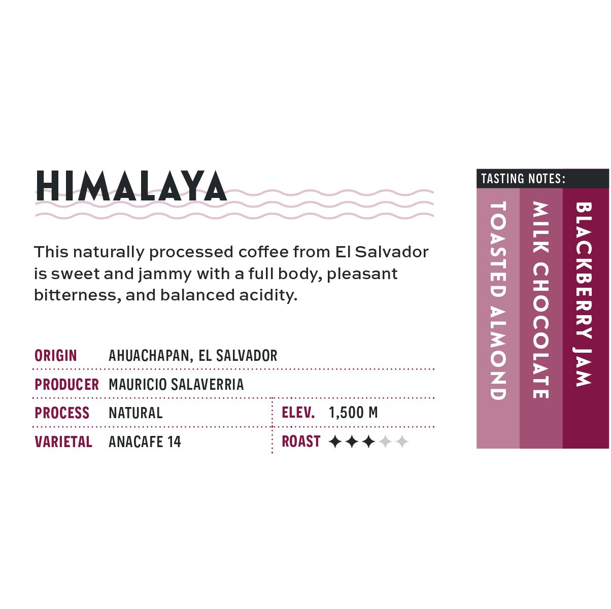 himalaya-sq-web.jpg