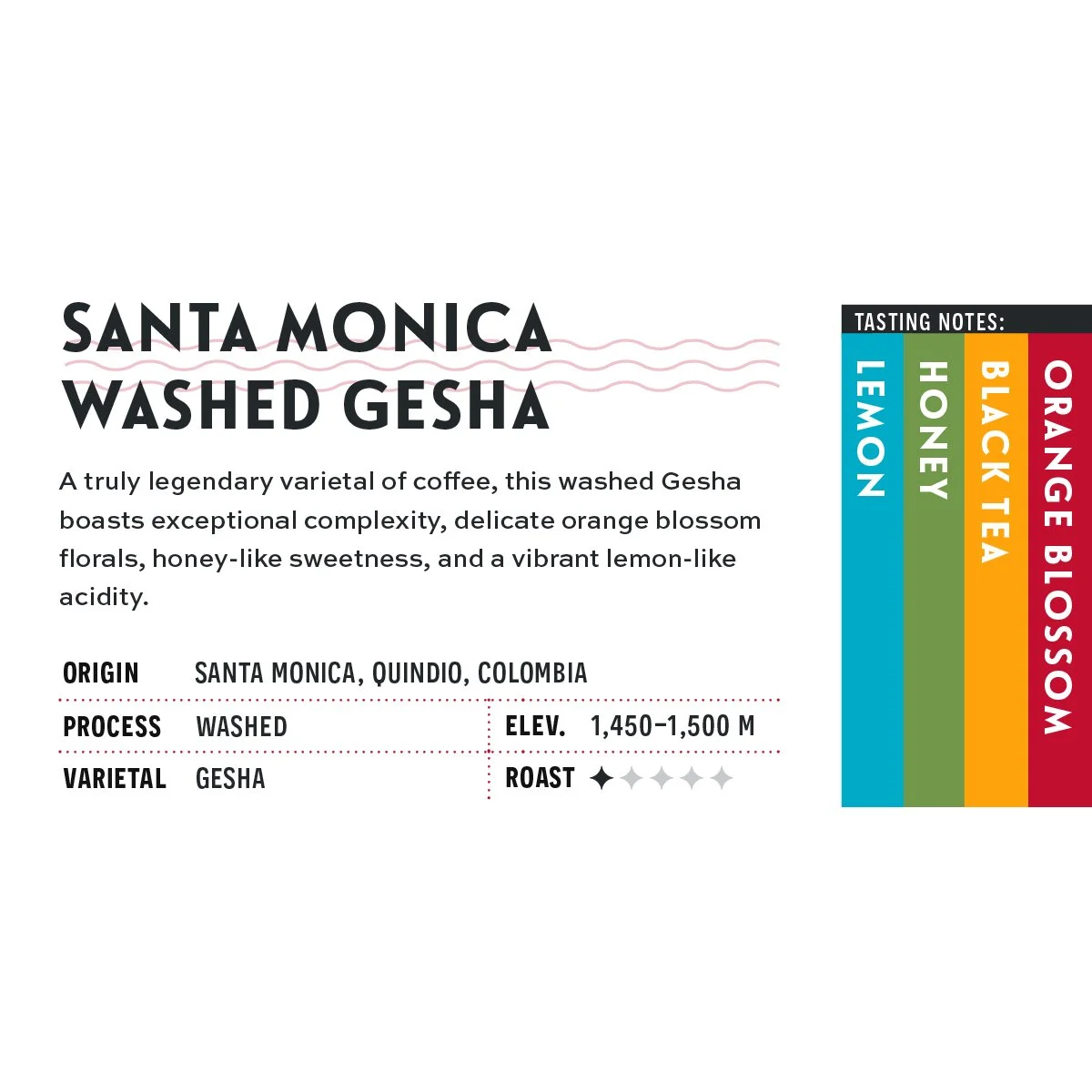 Santa Monica Washed Gesha