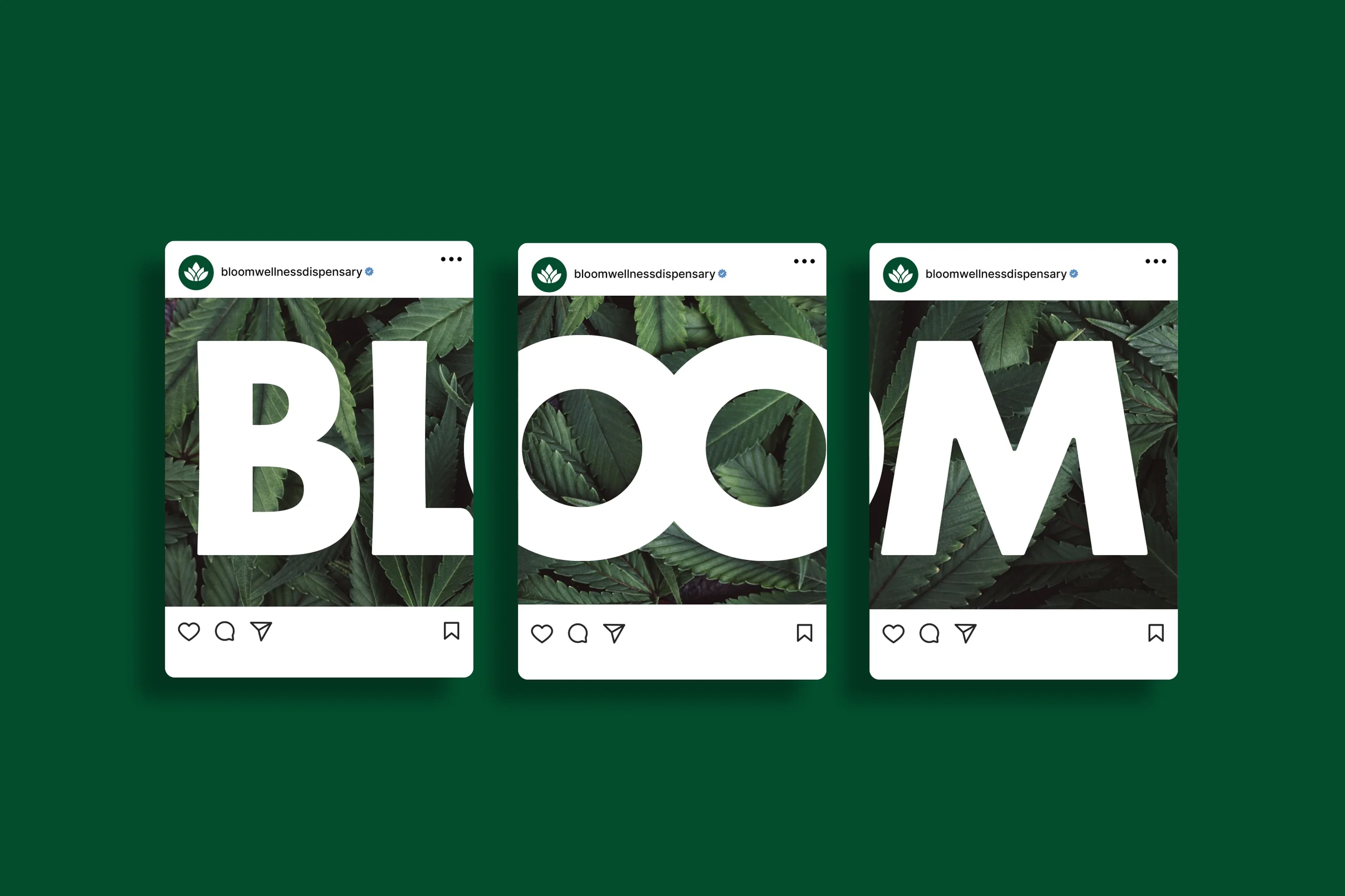 Bloom Wellness Dispensary