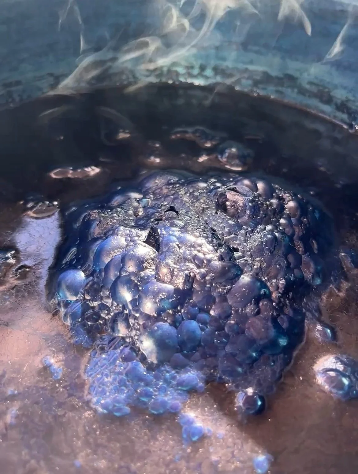 Close-up of bubbling indigo flower with blue and purple hues, emitting smoke.