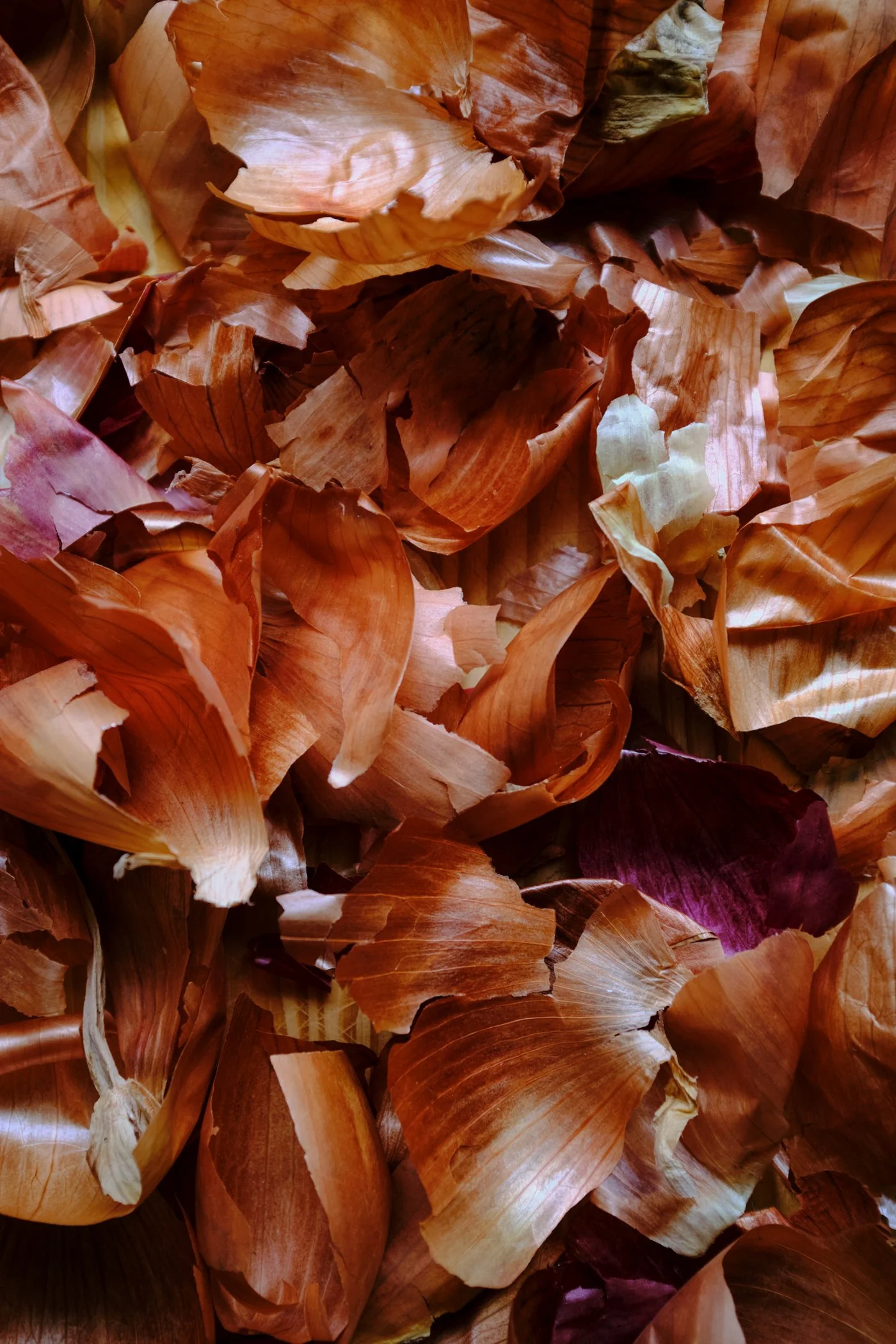 Close-up of scattered onion skins with various shades of brown and purple.