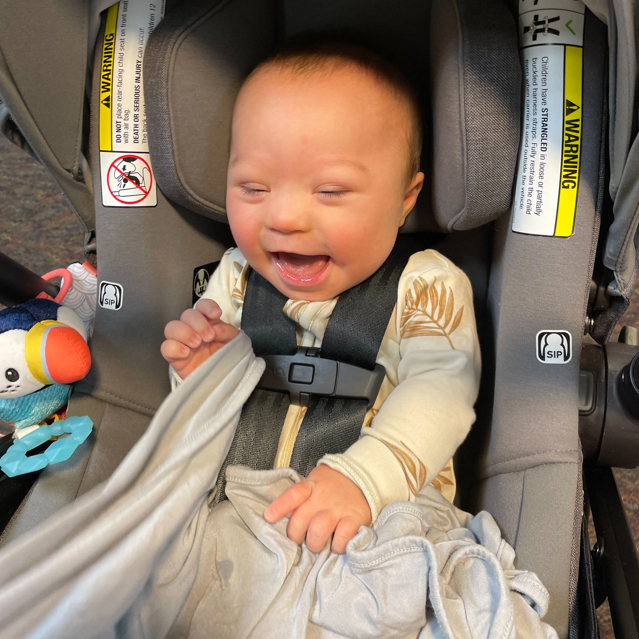 How To Adjust Nuna Pipa Lite Car Seat Straps