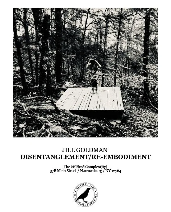 Disentanglement Re-Embodiment