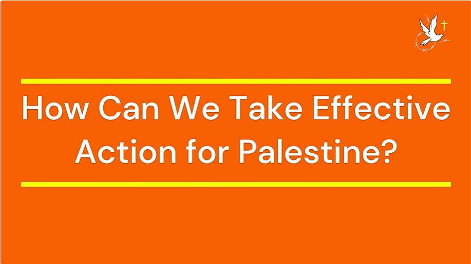 How Can We Take Effective Action for Palestine? 