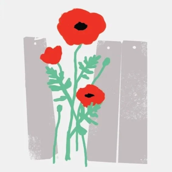 Apartheid-Free Network Outreach Toolkit