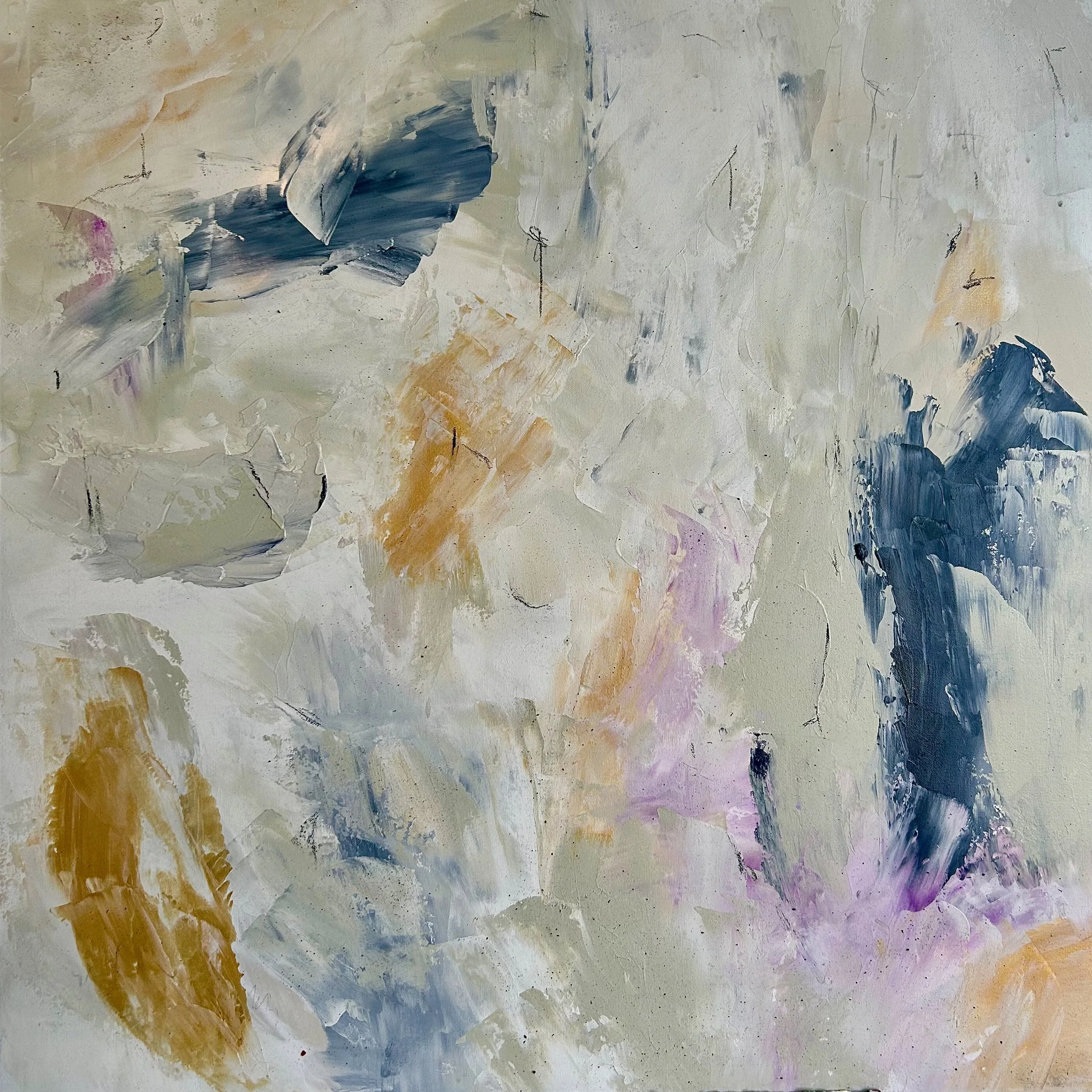 DISCO NAP Collection Catalog — Olivier Salvas Artiste