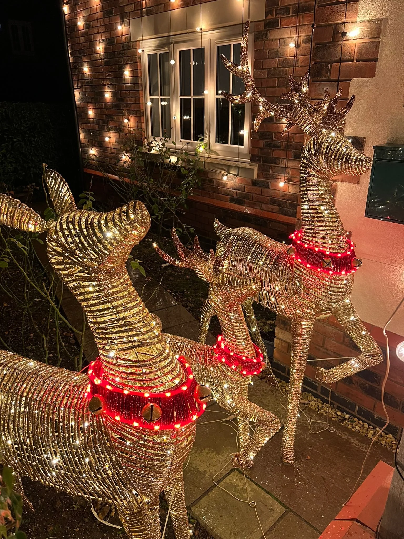 WhatsApp Image 2024-11-29 at 19.00.40.jpeg