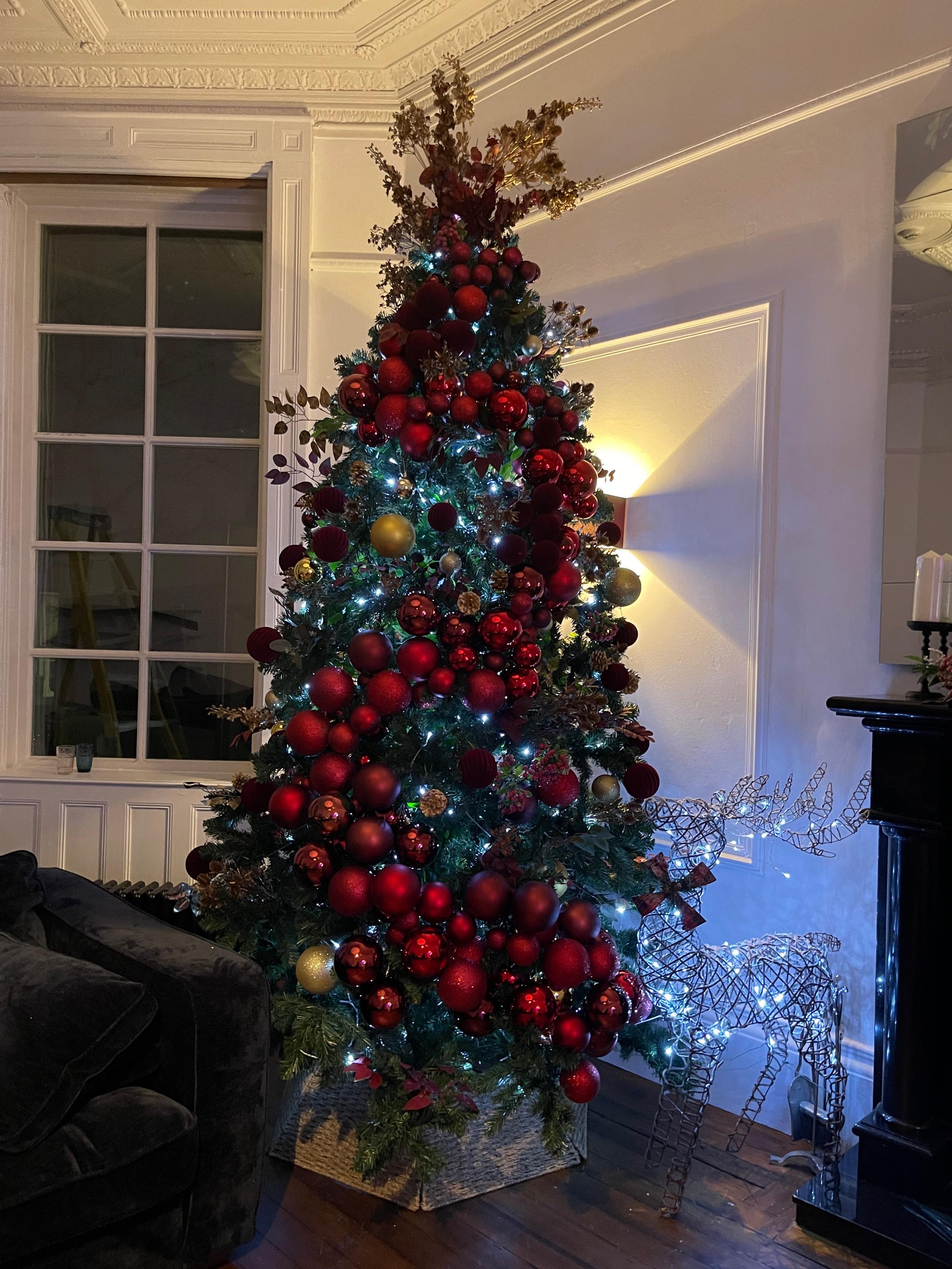 WhatsApp Image 2024-11-13 at 17.15.14.jpeg