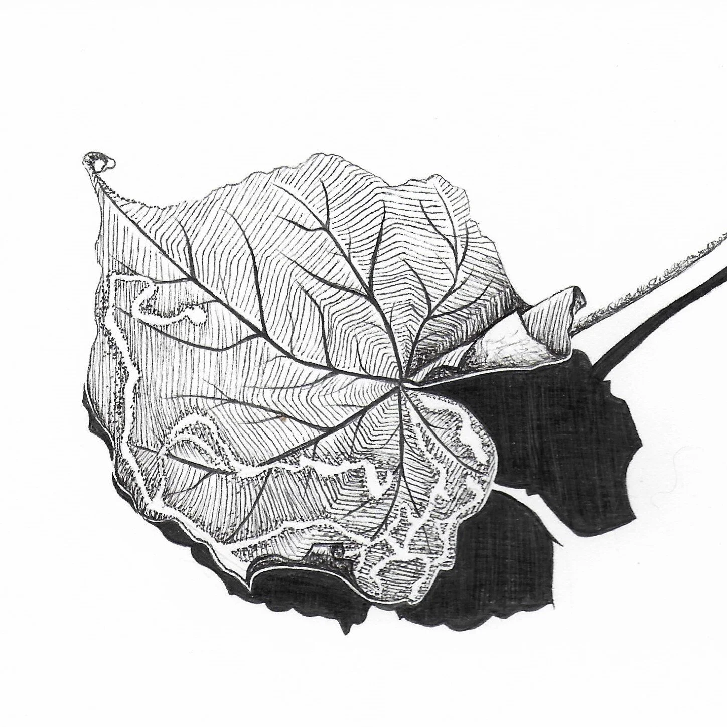 Inktober