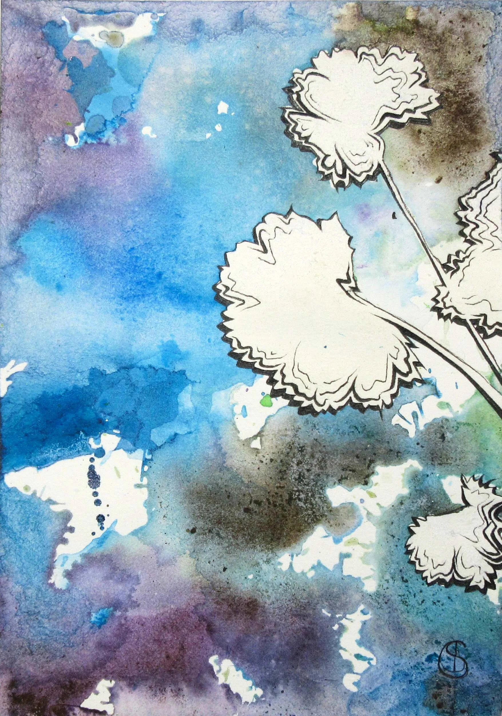 Plant Silhouettes: 2018