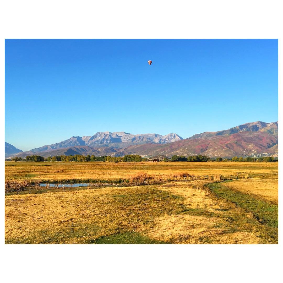 What a scene on my morning drive today! Can't believe how beautiful it is here. I love fall. I love living in this valley! #hebervalley #lovewhereyoulive #iphonography #landscape #mountains #fall #hotairballoon #utahisrad #beautahful