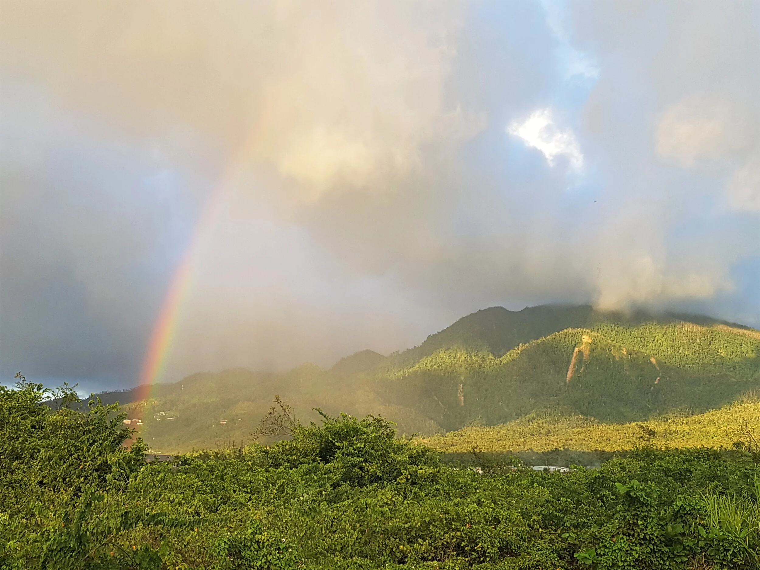 Dominica rises from the hurricane, Caribbean