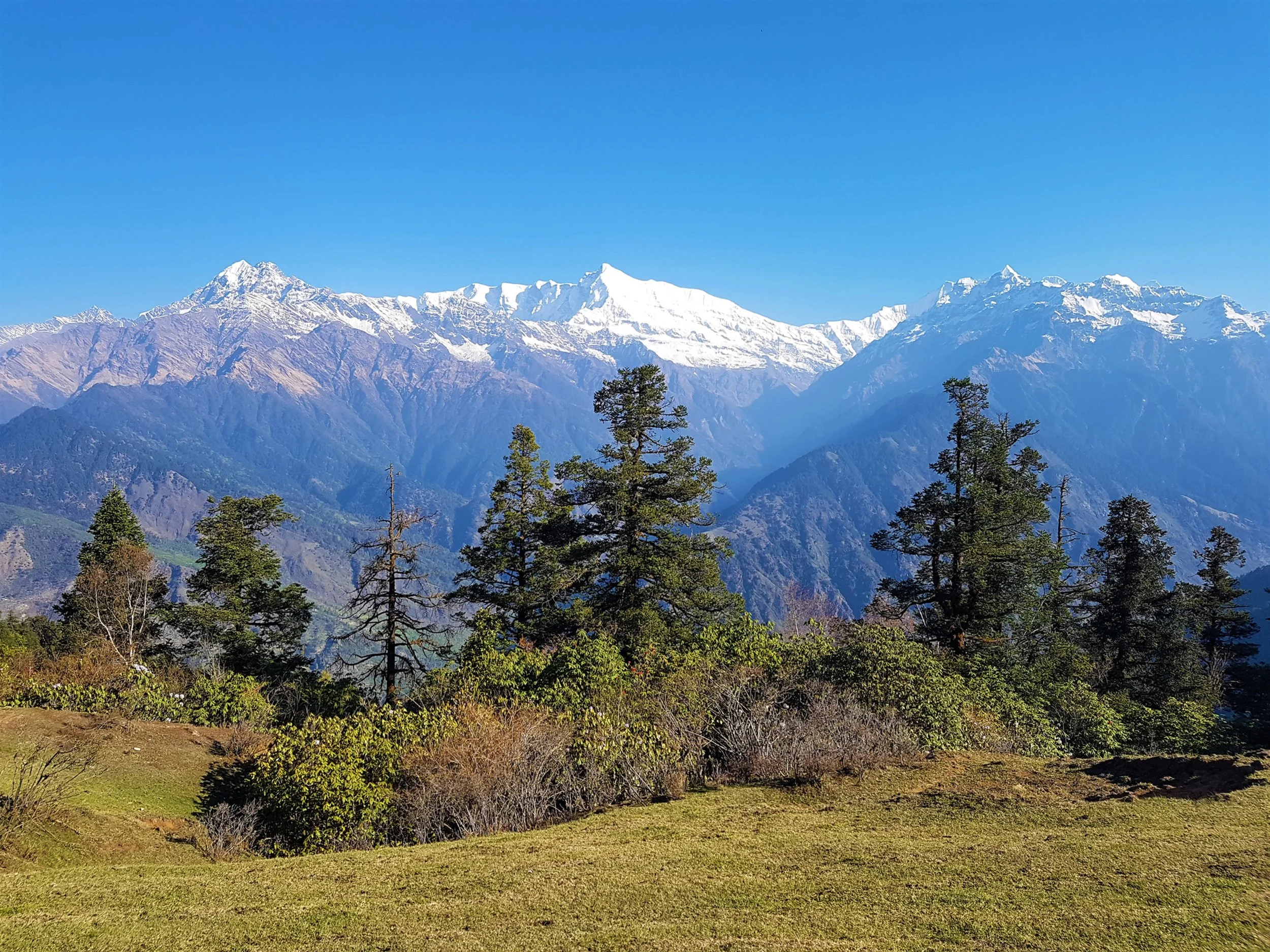 In the Footsteps of the Anwals through the Indian Himalayas with Travel Writer Juliet Rix