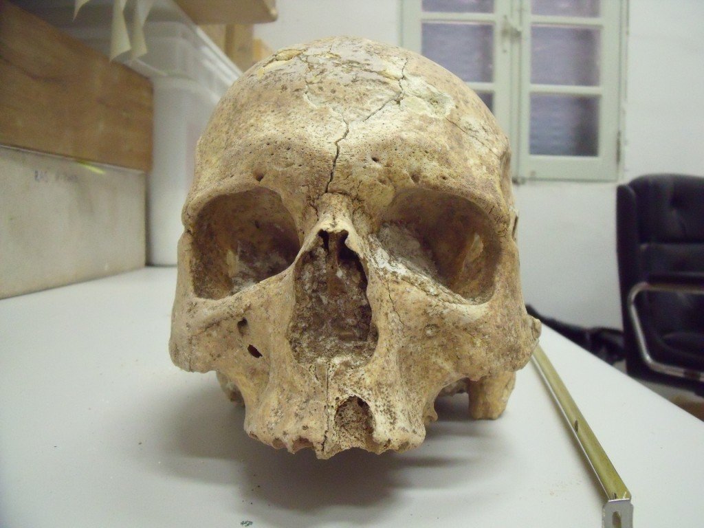 Malta’s 'alien' skulls