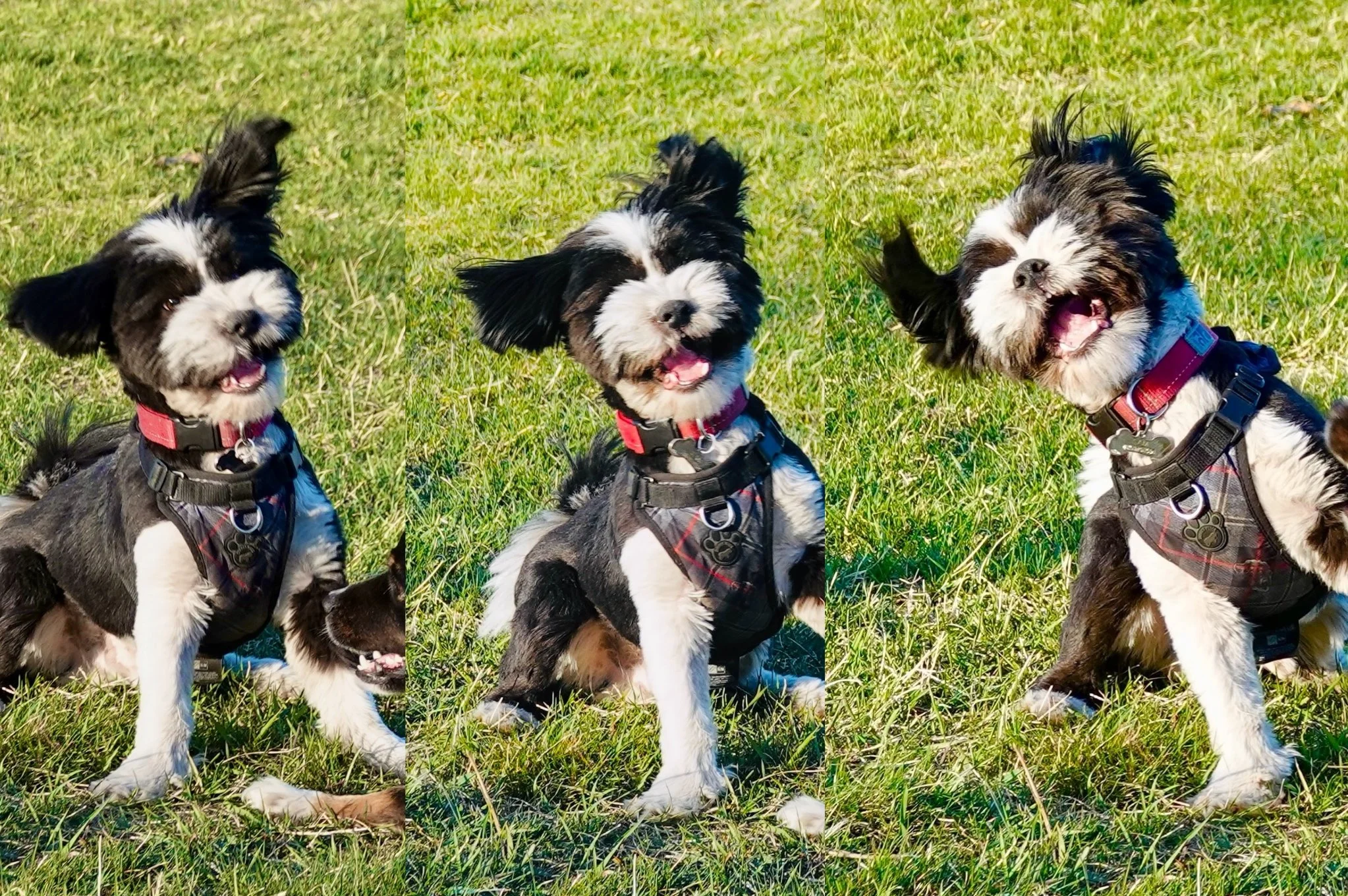 No one I know wears their joy on their face quite like Sam.