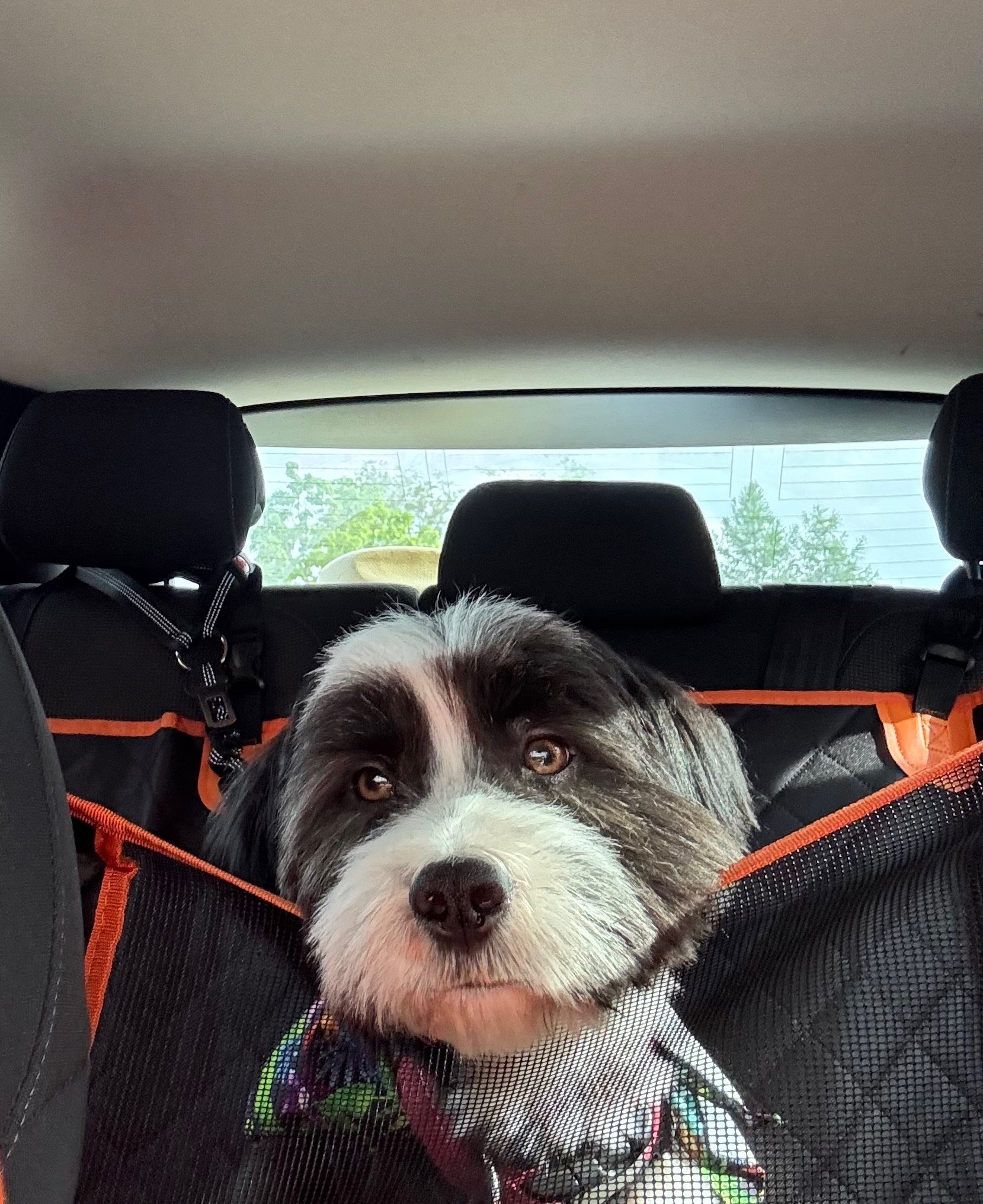 Are we there yet?