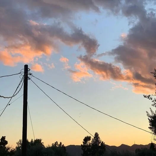 After the rain …