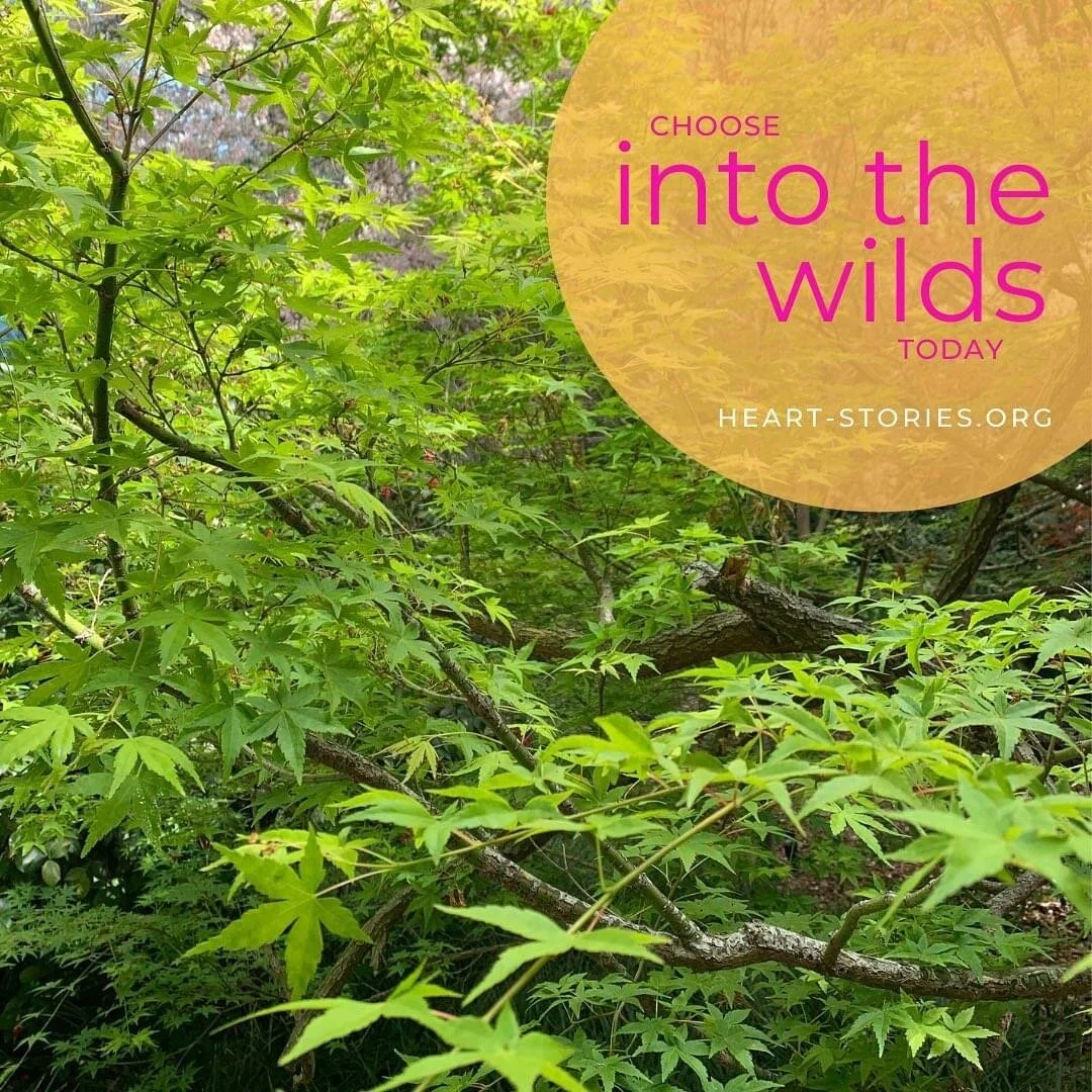 Remove your invisible cloak.