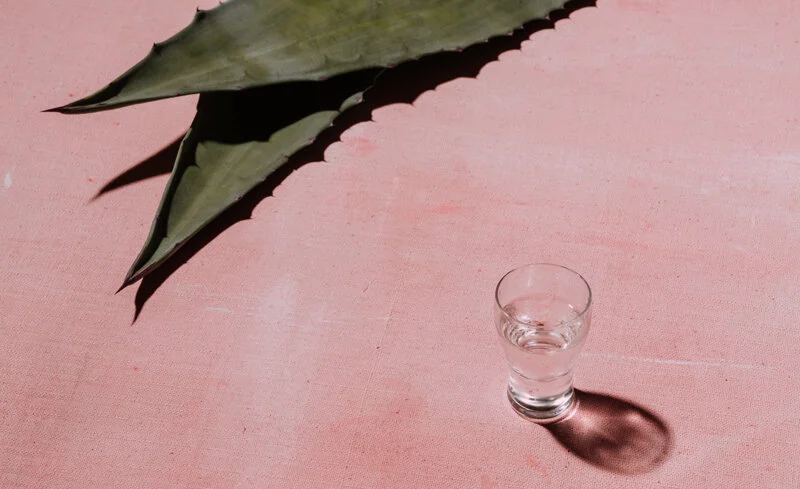 Agave, Terroir and Tequila