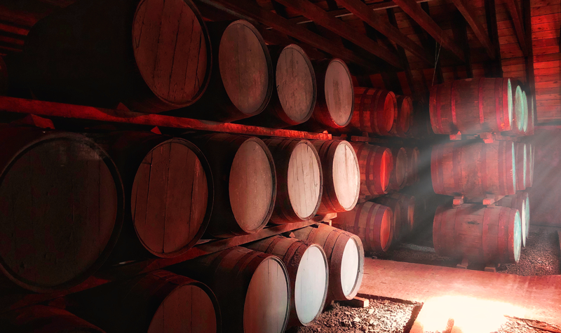 The Good Side of Aging: When you're a Tequila named Dahlia