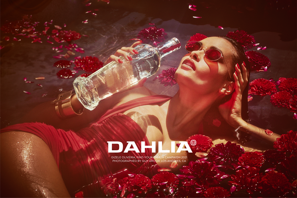#FINDYOURDAHLIA Campaign Press Release