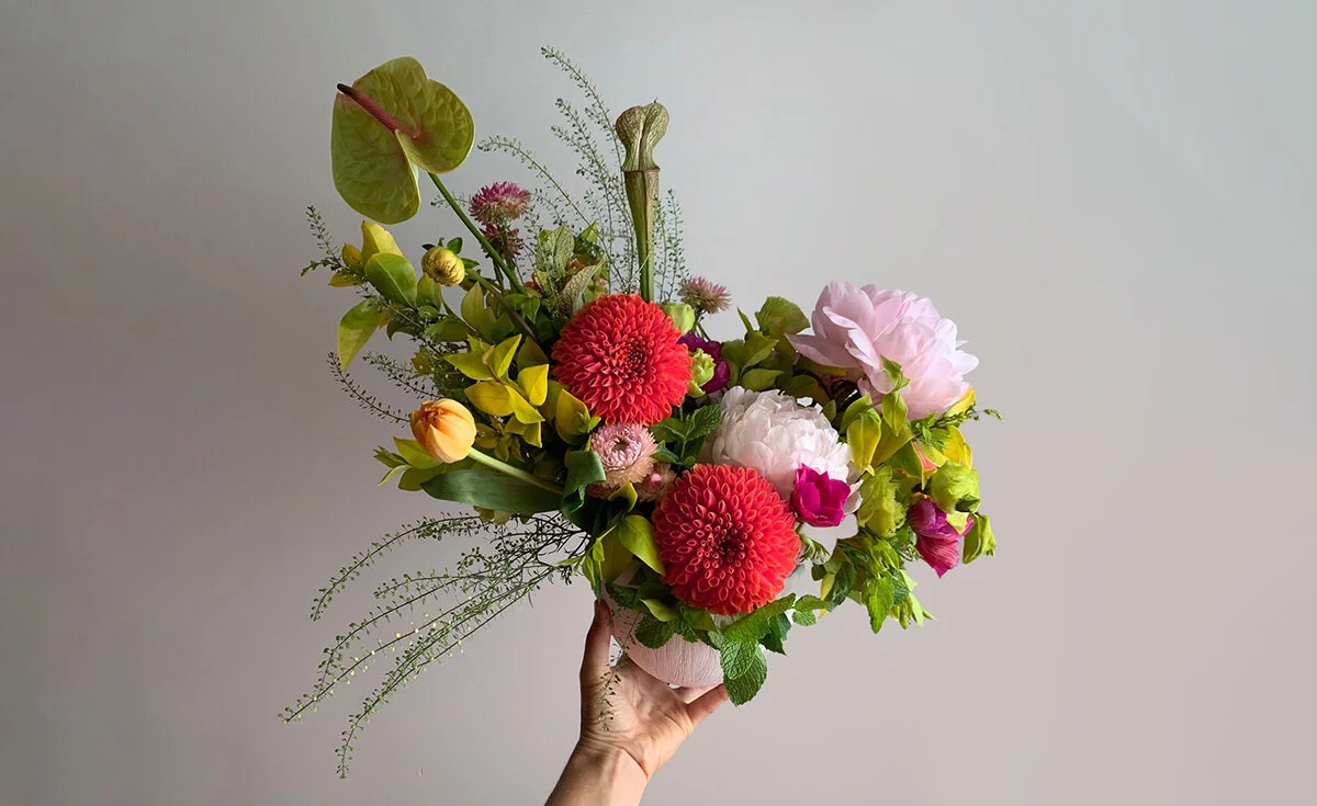 Dahlia Newsletter Image.jpg