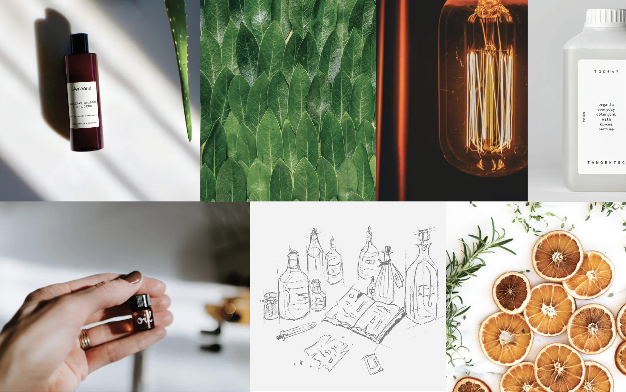 Moodboard Option 3: The Modern Apothecary