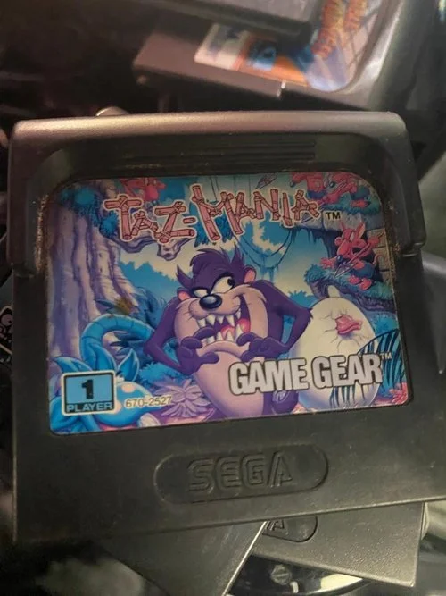 Notice (manuel) Du Jeu Tazmania Pour Sega Game Gear - Bon état, Rétro Gaming