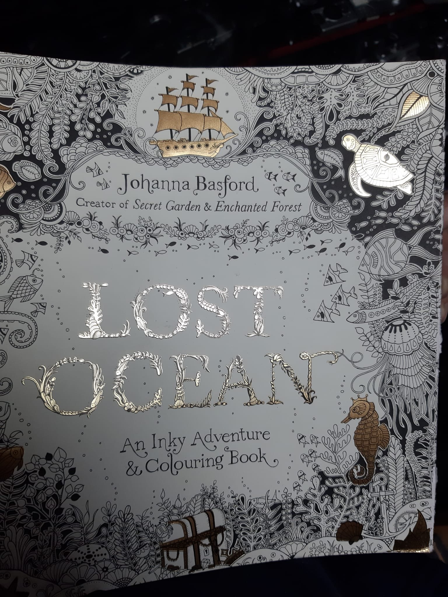 AT Book Johanna Basford Lost Ocean.jpeg