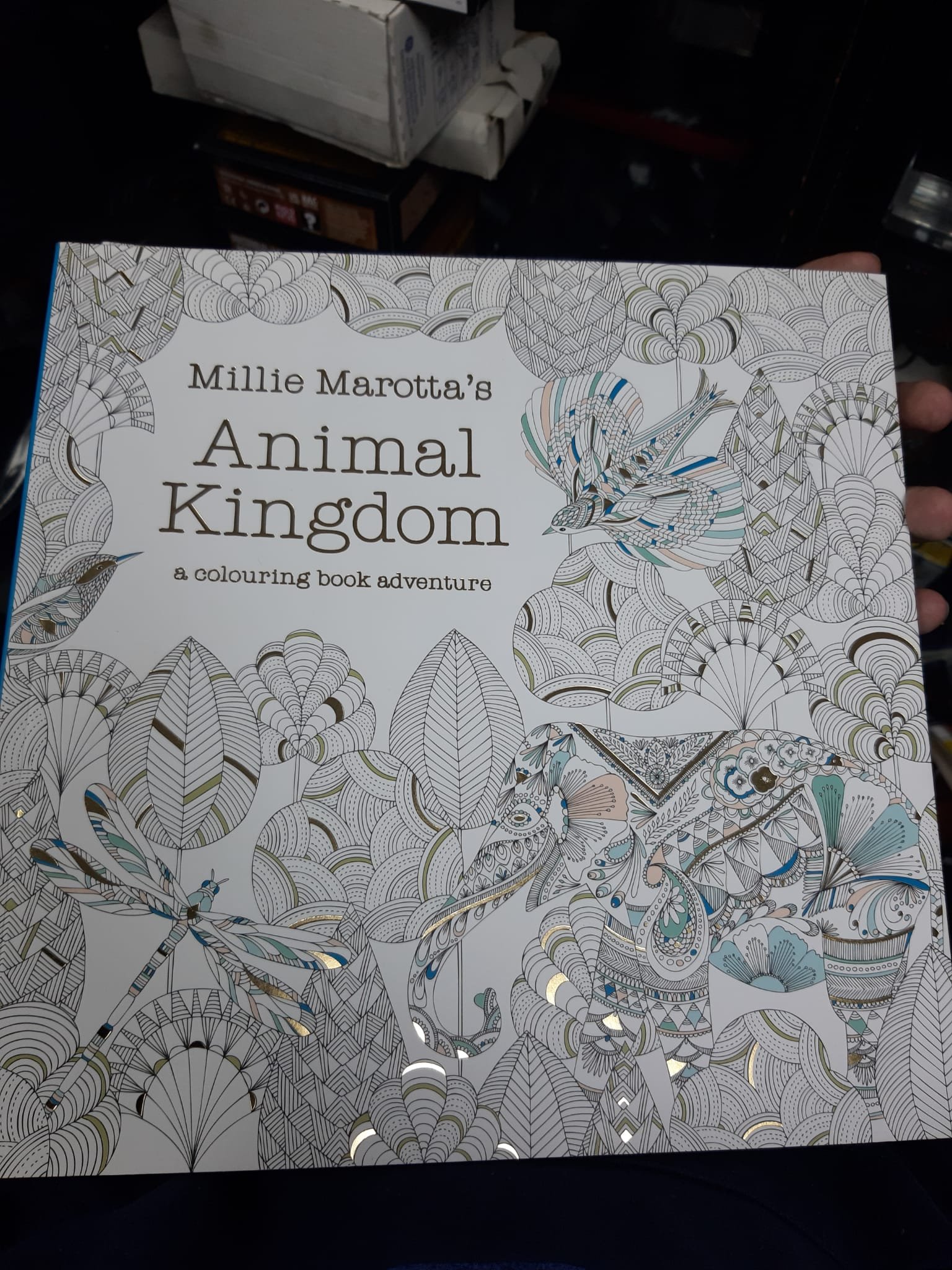 AT Book Millie Marotta Animal Kingdom.jpeg