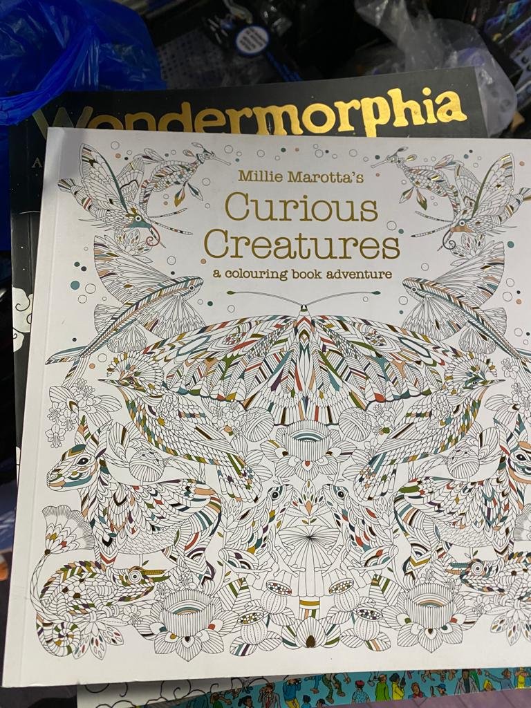 Photo Curious Creature Book Adventure.jpeg