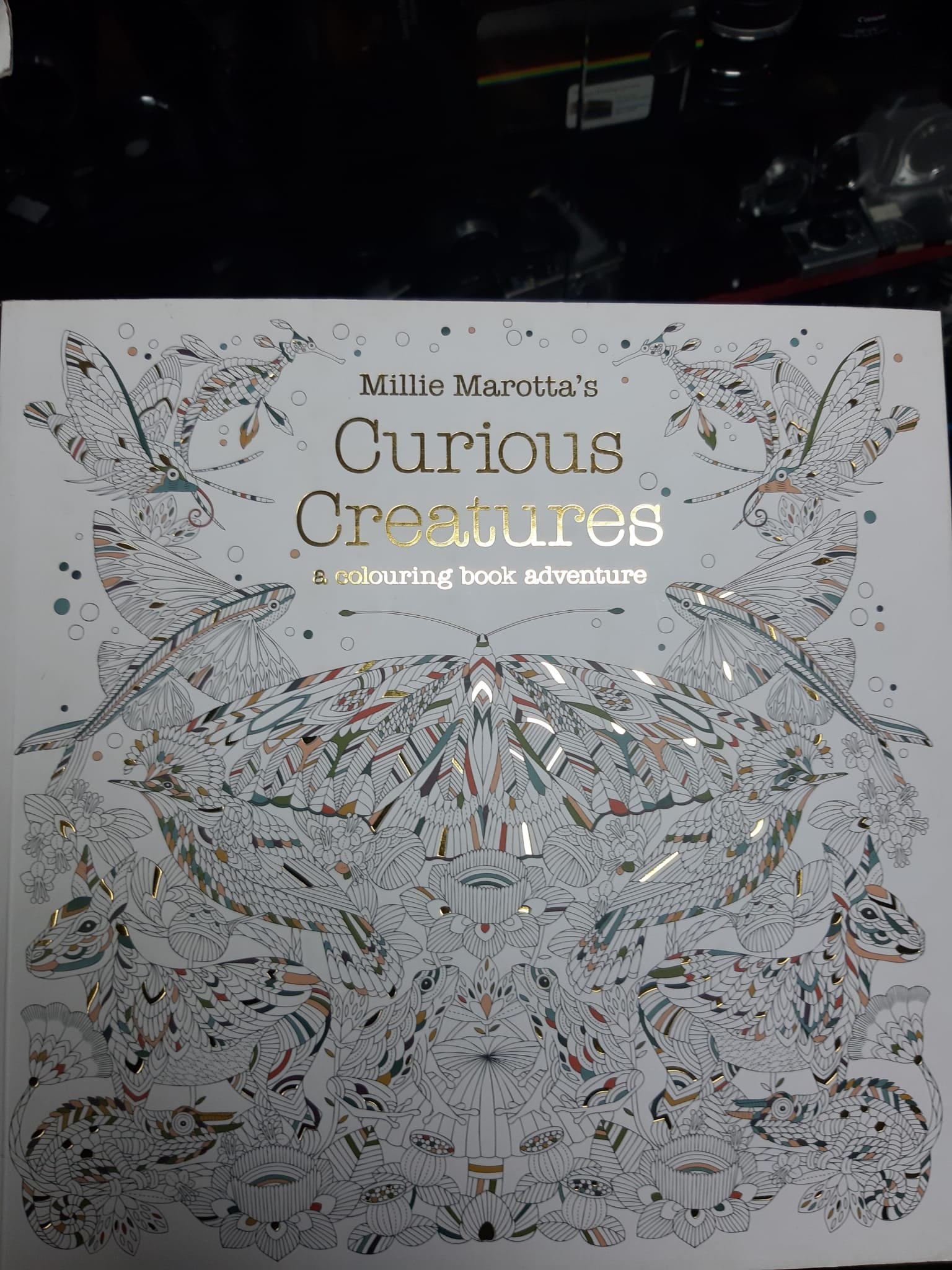 AT Book Millie Marotta Curious Creatures.jpeg