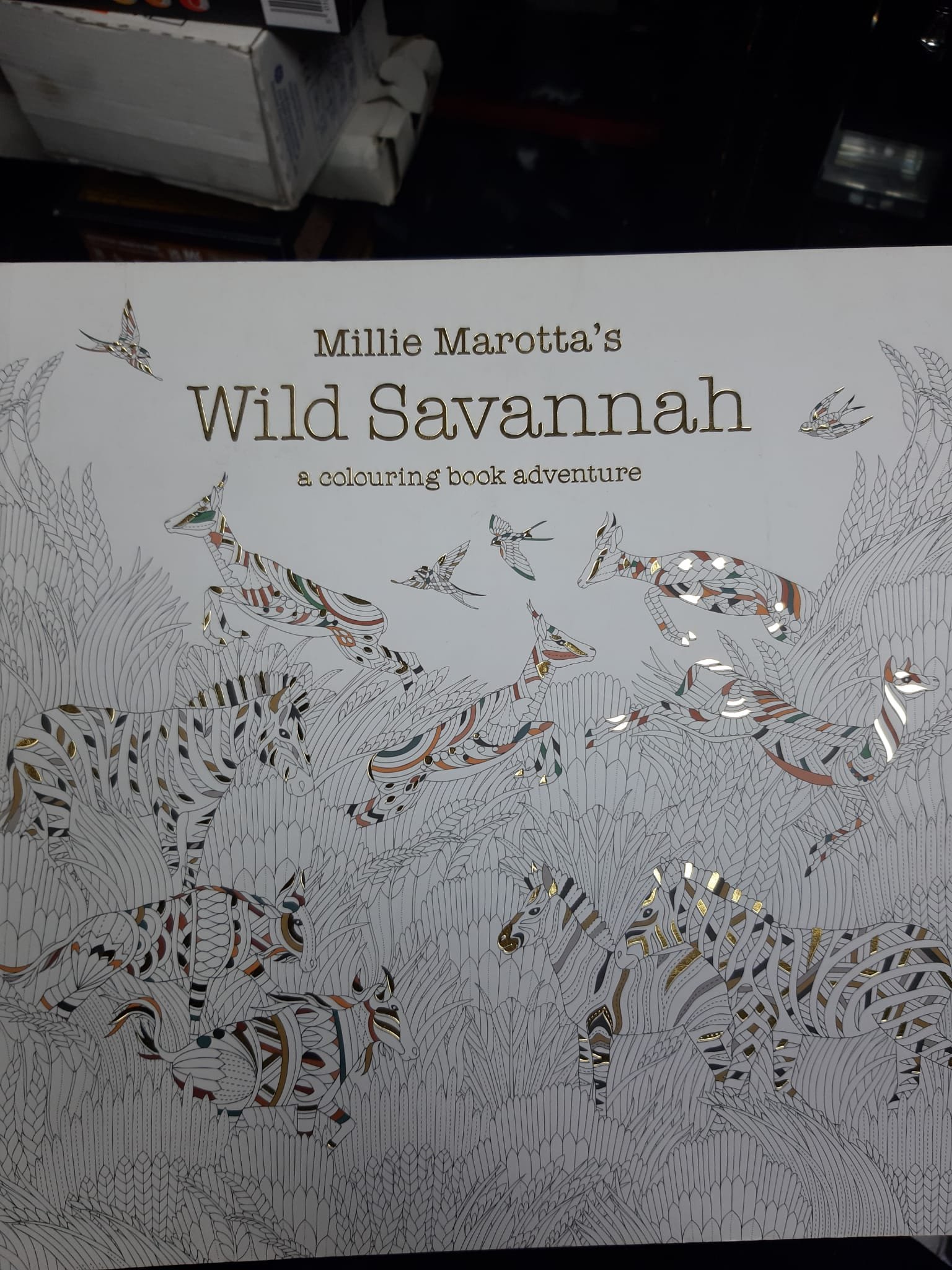 AT Book Millie Marotta Wild Savannah.jpeg