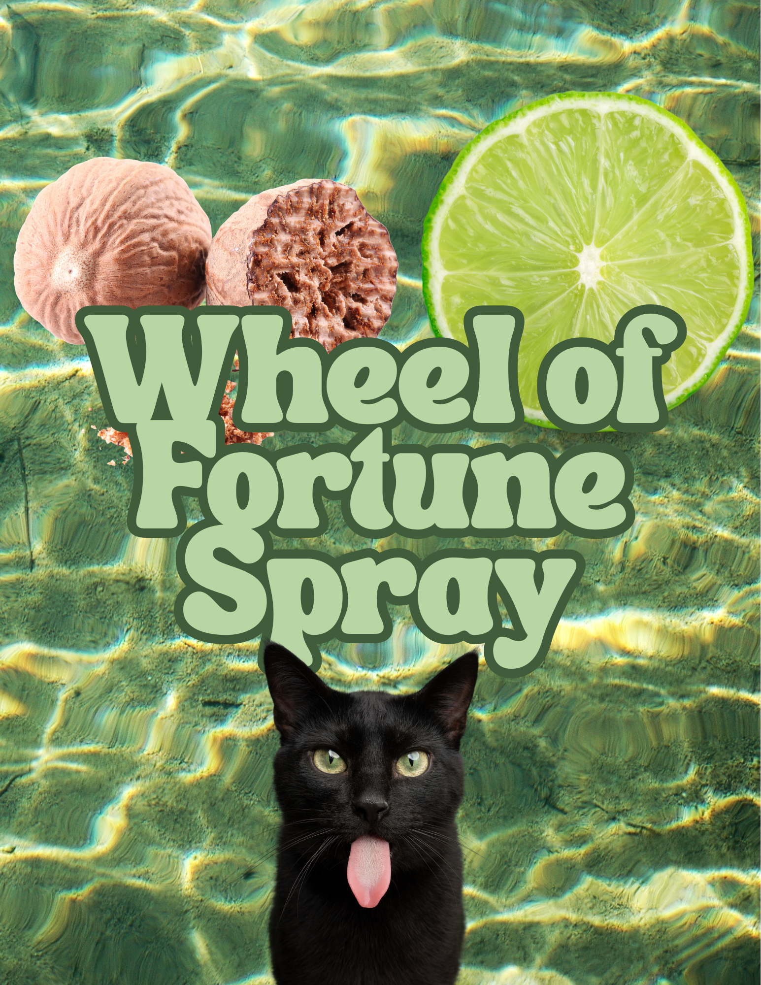 Wheel of Fortune Spray.png