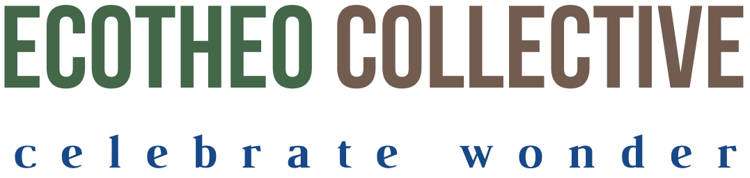 EcoTheo Collective